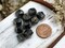 *12* 10mm Jet Black Luster Picasso Fire Polished Cathedral Beads